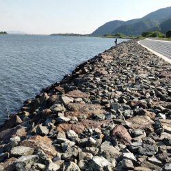 由良川でキス釣り