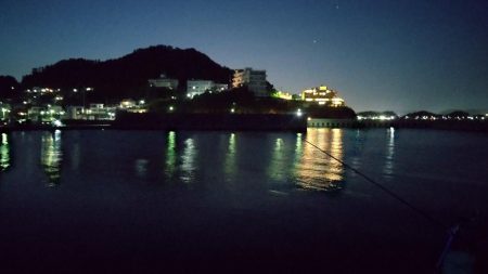 うっかりヒラメが釣れました!