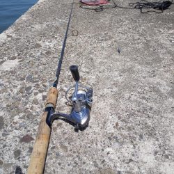 今夜はキスの天ぷら