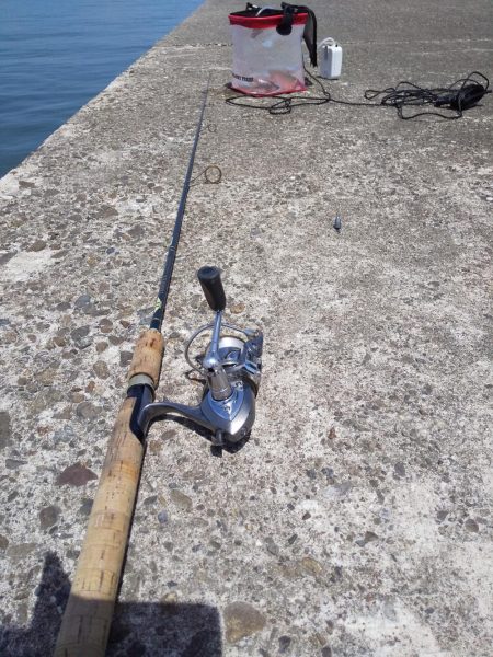 今夜はキスの天ぷら