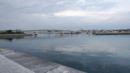 やっと近場のキスの活性が上がり始めました