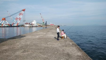 播磨新島のキスが釣れ始めました