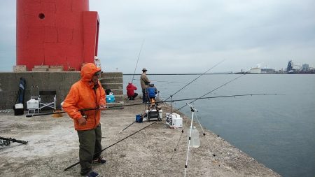 小型キスが沢山釣れました