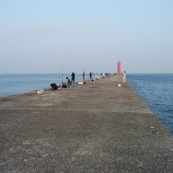 良型キスが釣れません