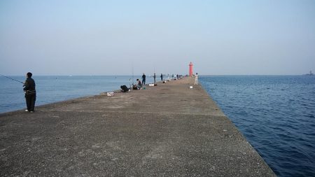 良型キスが釣れません