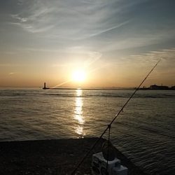 播磨新島のキス釣査