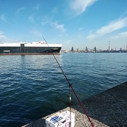 更に厳しい播磨新島のキス