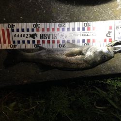 4回通って釣れました！