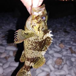 穴釣り、フロートリグ