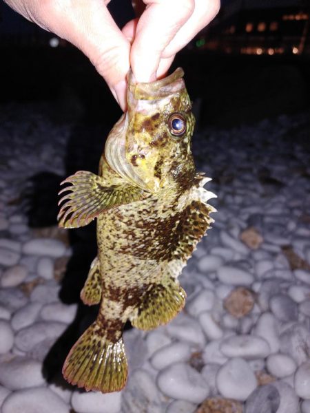 穴釣り、フロートリグ