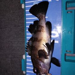 おさえのフロート