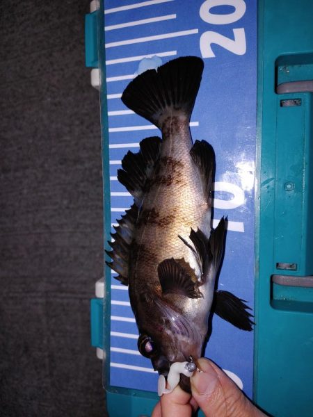 おさえのフロート