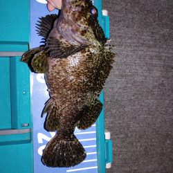 おさえでジグ単、フロート