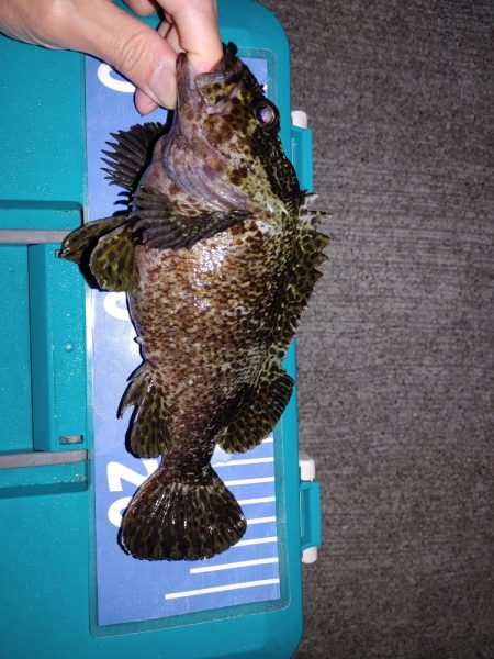 おさえでジグ単、フロート