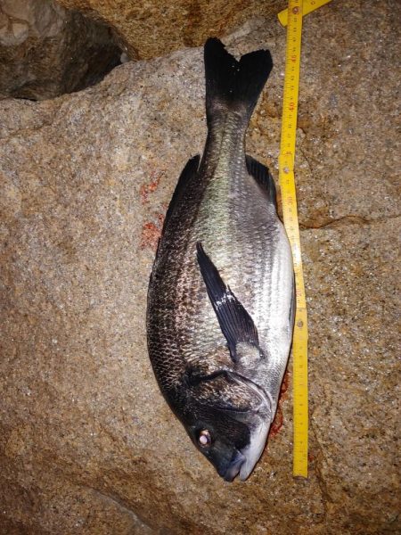 ストップアンドゴー！