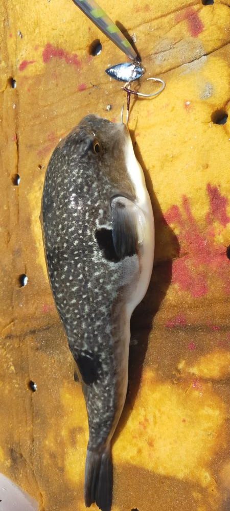 巻き巻きネギング