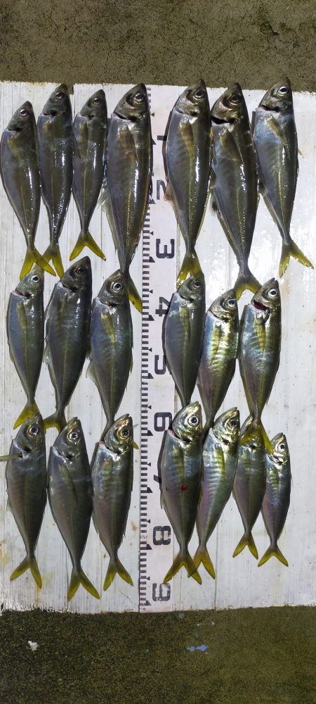 余裕の尺オーバー