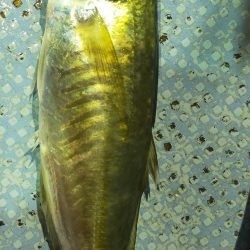 最後にラッシュ