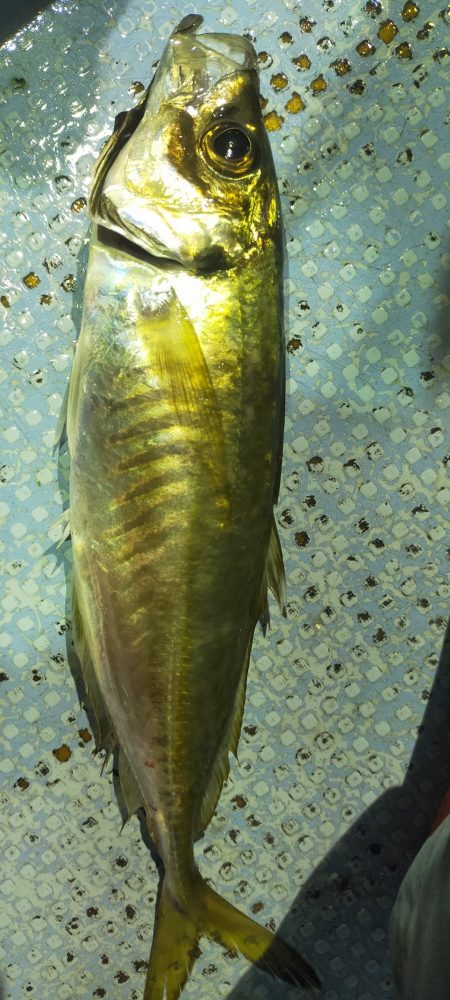 最後にラッシュ