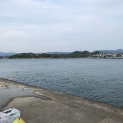 サビキに大物！