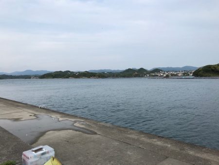 サビキに大物！