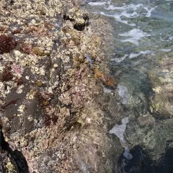 (対馬)墨族釣果投稿③