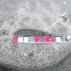 ウェーディング