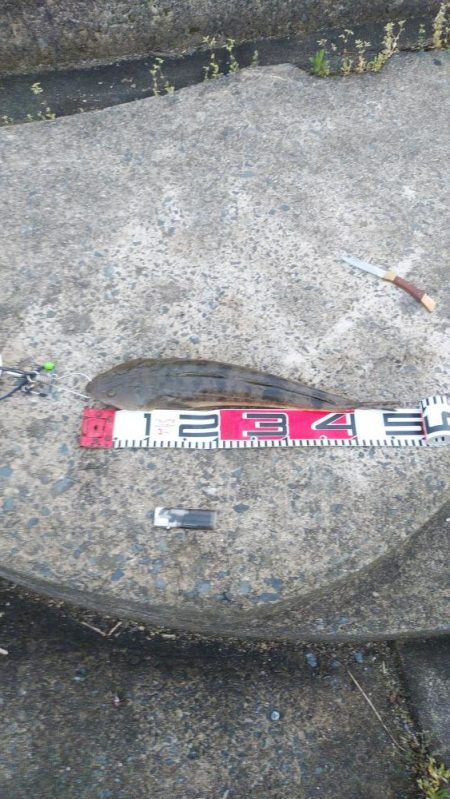 ウェーディング