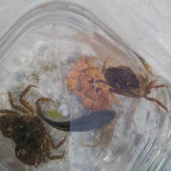 色々釣れて楽しかったデス(^^)