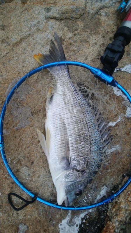 キャスティングキビレゲーム(^^)