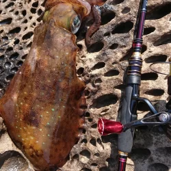 墨族釣果投稿⑧