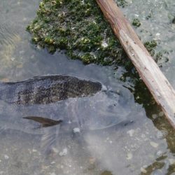 今日も釣り日和(^^)