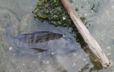 今日も釣り日和(^^)
