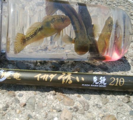 ライトゲーム(^^)楽しいデス♡♬♬♬