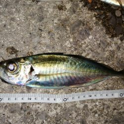 厳しい中でもなんとか