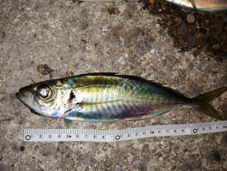 厳しい中でもなんとか