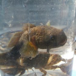 (^^)夏気分!海が気持ち良い(^^)