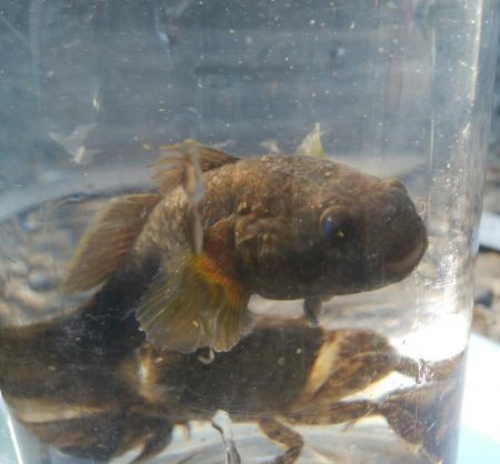 (^^)夏気分!海が気持ち良い(^^)