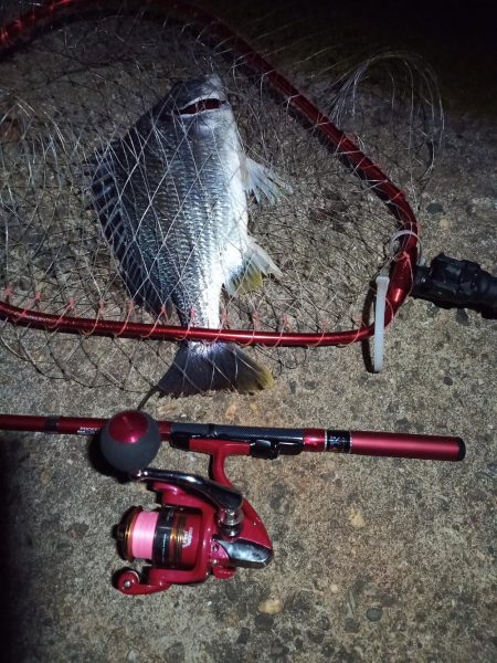 2022/05/23 南港ライトゲーム釣行