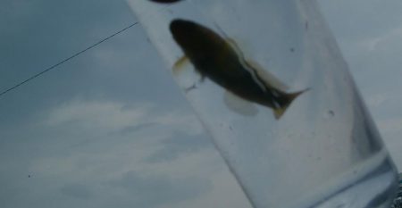 (^^)過ごしやすい釣り日和