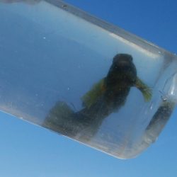 今日も釣り日和(^^)