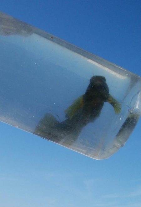 今日も釣り日和(^^)