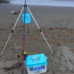 キス釣り まだ早い?