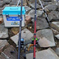 キス釣り 食いは渋い