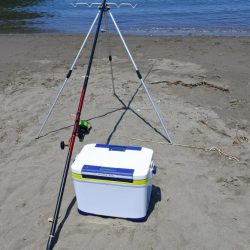 好天のキス釣り ピンギスばかり