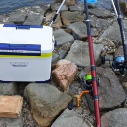 キス釣り　キスは何処？