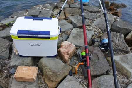 キス釣り　キスは何処？