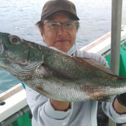 泉州丸 釣果