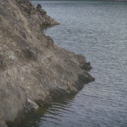 五月のバス釣り