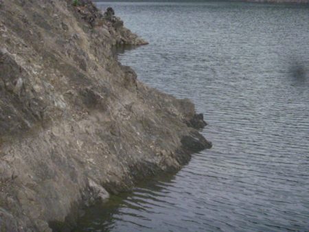 五月のバス釣り